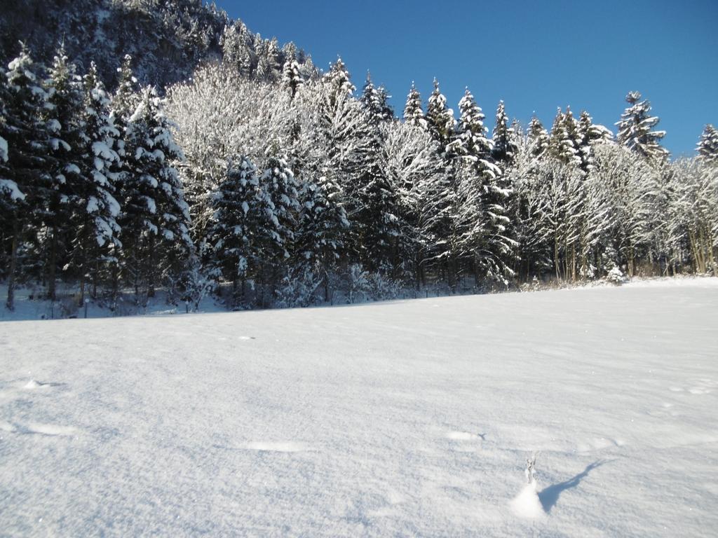 Ferienwohnung Zillertal Bacher Шлитерс Екстериор снимка